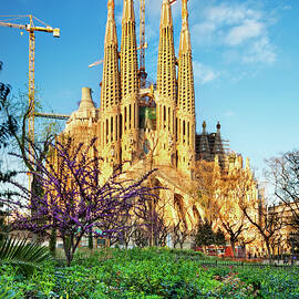 Sagrada Familia, Spain by Pietro Canali