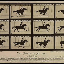 Sallie Gardner at a Gallop - Horse in Motion by Richard Reeve