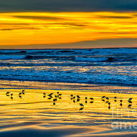 Sandpiper Sunset at Manzanita by Bruce Block