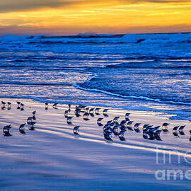 Sandpiper Sunset by Bruce Block