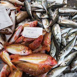 Sardines On The Fish Market, Algarve, Portugal by Sabine Lubenow