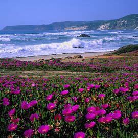 Sardinia, Beach, Italy by Johanna Huber