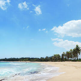 Scenic Beachside Tropical Landscape by Gerisima