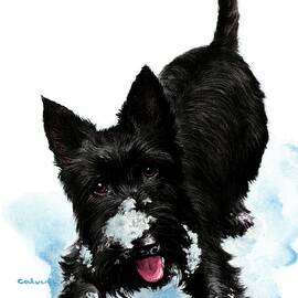 Scotty In Snow by W.w. Calvert