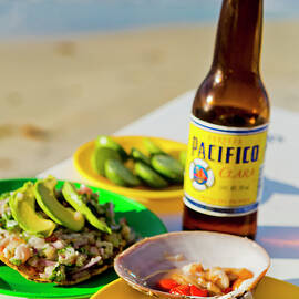 Seafood & Bear, Sea Of Cortez, Mexico by Pietro Canali