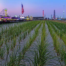 Seaside Boardwalk Sand Dunes by Susan Candelario