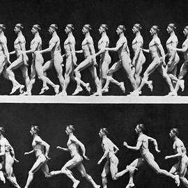 Sequential Frames Of Nude Man Walking by Bettmann