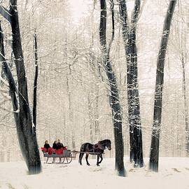 Winter Sleigh Ride by Jessica Jenney