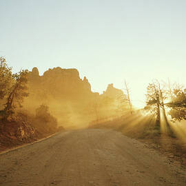 Shafts Of Sunlight Shining Through by Andy Ryan