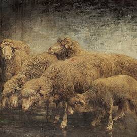 Sheep In A Barn by Heinrich von Zuegel