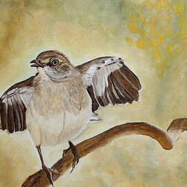 Showing Off by Angeles M Pomata