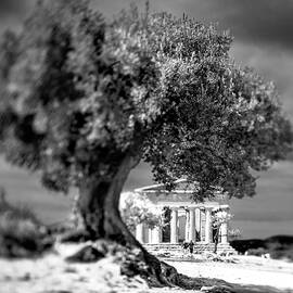 Sicily, Agrigento, Italy by Alessandro Saffo