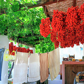 Sicily, Salina, Aeolian Patio, Italy by Paolo Giocoso