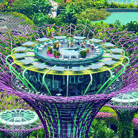 Singapore, Singapore City, Singapore Botanic Gardens, Areal Marina Bay, Garden By The Sands by Uwe Niehuus