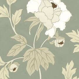 Small Peony Elegance Ii (p) by Nancy Slocum