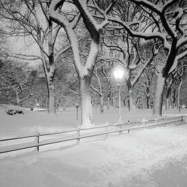 Snow Covered Promenade, Central Park by Walter Bibikow