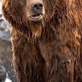 Soaked In The Spring by Adam Jewell