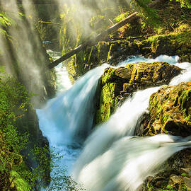Sol Duc Falls, Olympic National Park by Feng Wei Photography