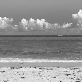 Solitude by Alison Frank