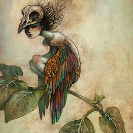 Soul of a Bird by Caroline Jamhour