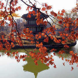 South Korea, Seoul, Gyeongbokgung Royal by Andrea Pistolesi