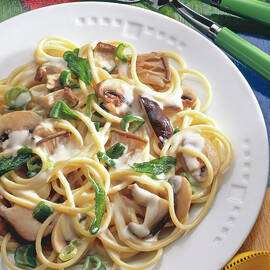 Spaghetti Pasta Garnished With Mushroom Cream Sauce On Plate by Jalag / Uwe Bender