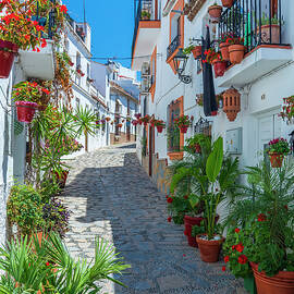Spain, Andalusia, Estepona, Calle Fraile by Sebastian Wasek