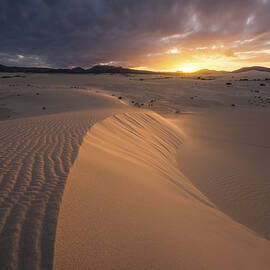 Spain, Canary Islands, Fuerteventura by Luca Benini