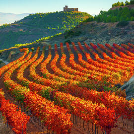 Spain, La Rioja, San Vicente De La Sonsierra, Rioja District, Vineyards And Castillo De Davalillo In Background by Olimpio Fantuz