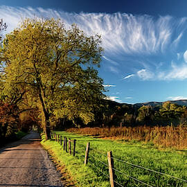 Sparks Lane by Jacalyn Ackerman