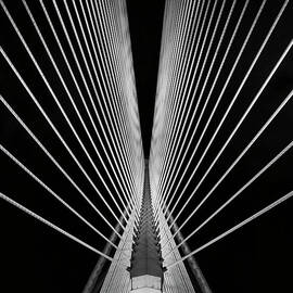 Split by Shahrulnizamks