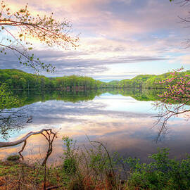 Spring At Radnor Lake by Malcolm Macgregor