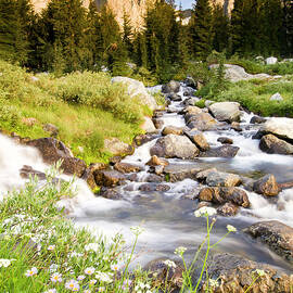 Spring Flowers And Flowing Water Below by Josh Miller Photography