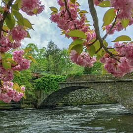 Spring Garden on the Bridge  by Veterans Aerial Media LLC