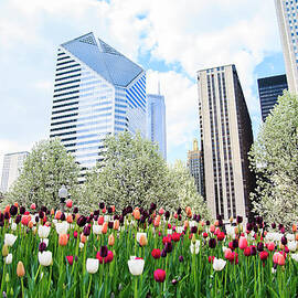 Spring In Chicago by Espiegle