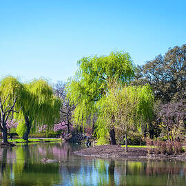 Spring In Regents Park, London by Cirano83