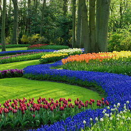 Spring In The Park by Jacobh