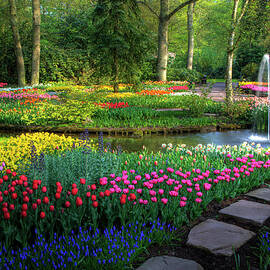 Springtime Keukenhof Gardens With by Darrell Gulin