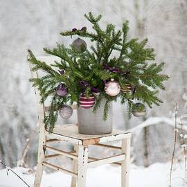 Spruce Branches Decorated With Christmas Baubles On Shabby-chic Chair In Snowy Landscape by Sabine Löscher