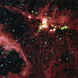 Stars Surrounded By Gas And Dust In by Stocktrek