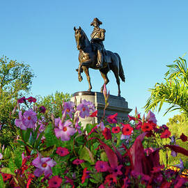 Statue, Public Garden, Boston, Ma by Lumiere
