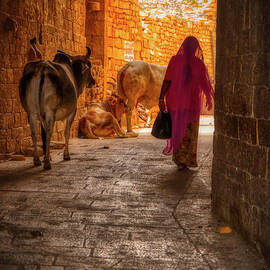 Streets of India by Stefano Senise