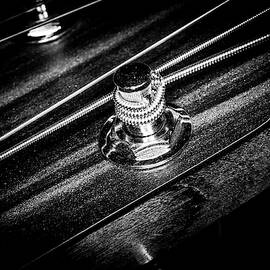 Strings Series 14 by David Morefield