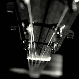 Strung Up by Bill Miles Photography