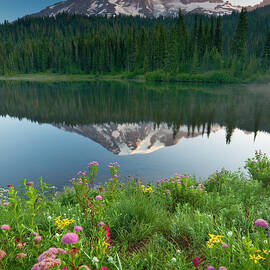 Summer Flowers And The Landscape Of The by Mint Images - Art Wolfe