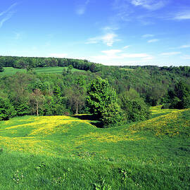 Summer meadow landscape by Seeables Visual Arts