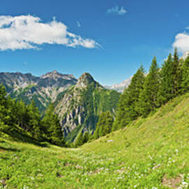 Summer Meadow Mountain Alpine Flowers by Fotovoyager