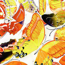 Summers design by Jorgo Photography