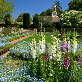 Sunken Garden by Hp Huber