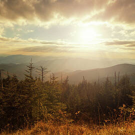 Sunlight In The Mountains by Moreiso